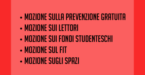 Giornata di lavoro in Consiglio degli Studenti: verso un’università di tutti e tutte